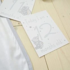 Disney Dumbo Baby Milestone Blanket Patterned, Polyester, Blankets & Throws -Eve Home And Furniture Shop 1000182256 alt04