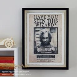 Harry Potter Wanted Wall Art Canvases Prints and Wall Art, Printed, Plastic